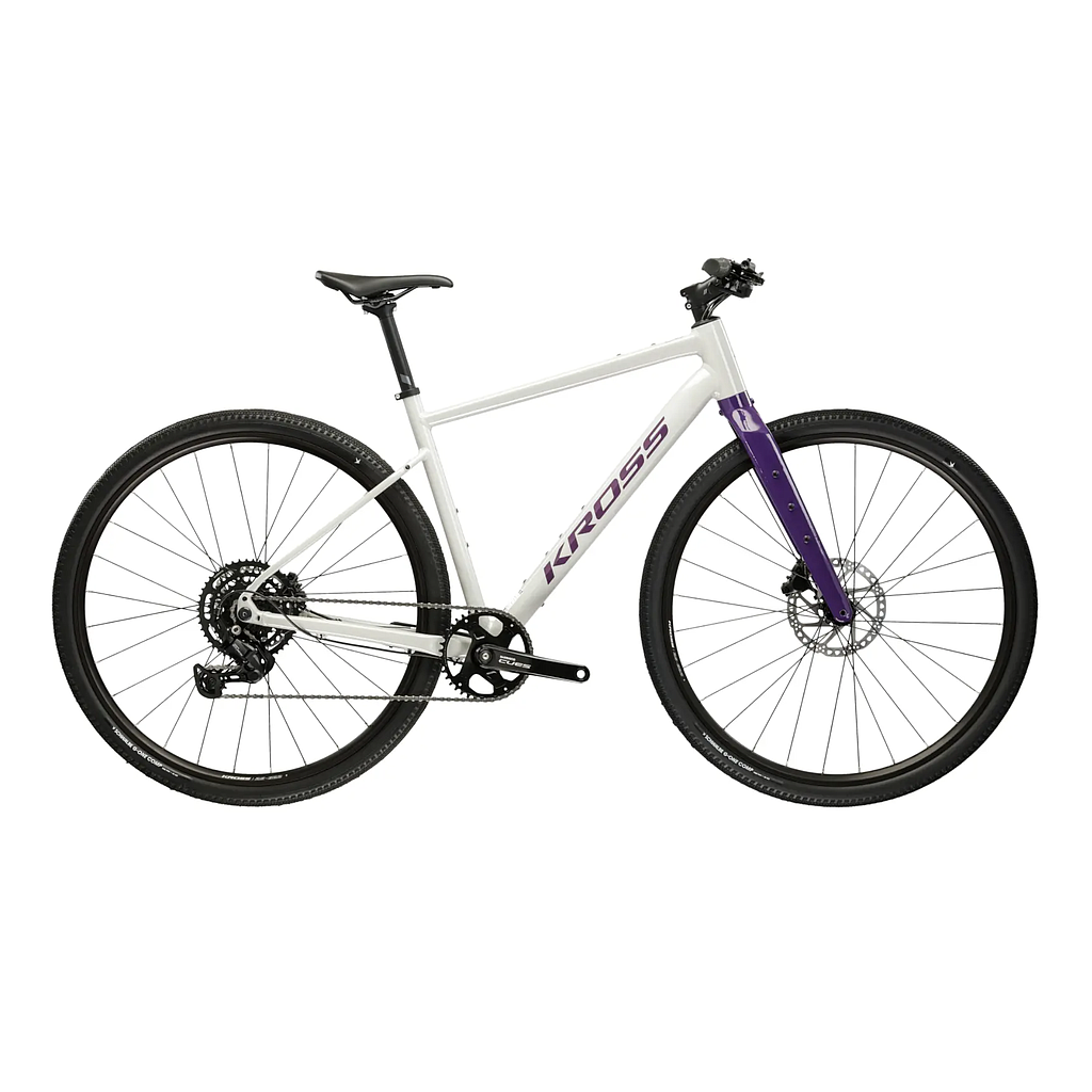 **KROSS ESKER 1.0 FL GRAVEL BIKE M (19") GREY/PURPLE/GLOSSY