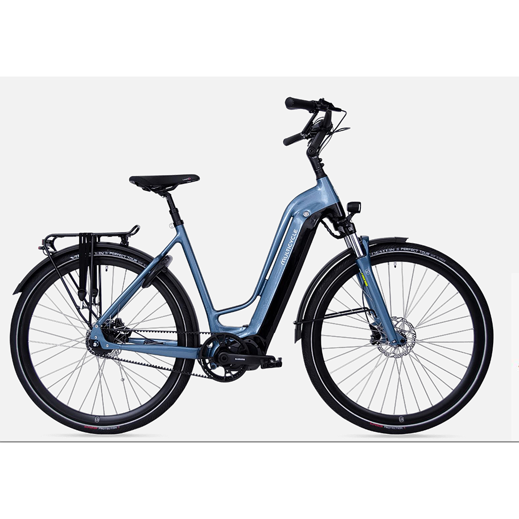 MULTICYCLE LEGACY EMB D53
