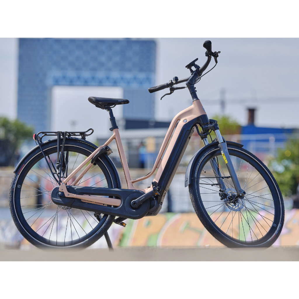 MULTICYCLE VOYAGE EMI D49 GOLDEN ROSE